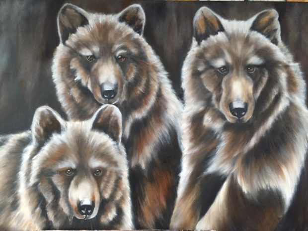 Bruine beren, 80 x 160cm