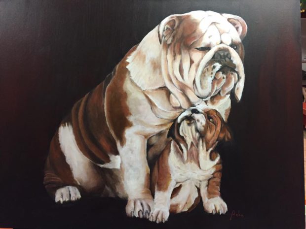 Buldoggen, 60 x 80cm