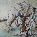drinkende tijger, 90 x 70cm