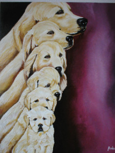 Goldies, 50 x 40cm