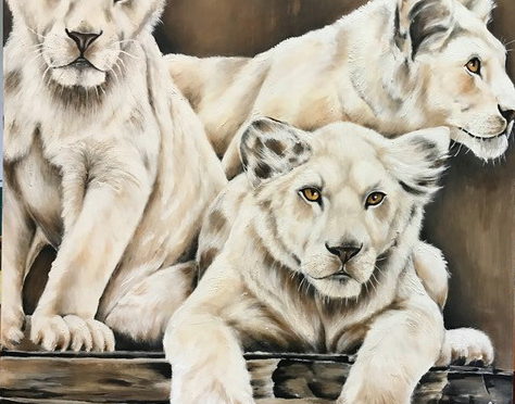 Leeuwen, Verkocht100 x 120 cm