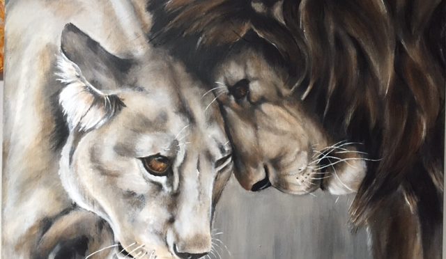 Leeuwenkoppel, 80 x 80cm   Verkocht